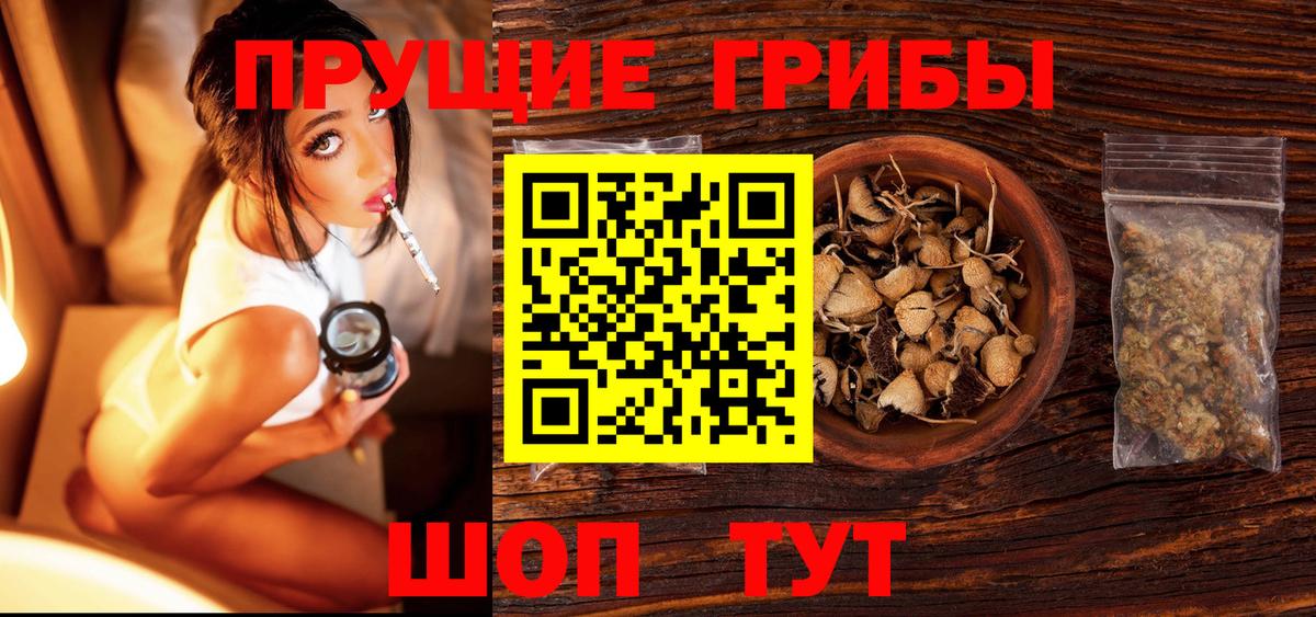 Касимов  Галлюциногенные грибы Psilocybe  Вход с VPN  Псилоцибиновые грибы мухоморы 