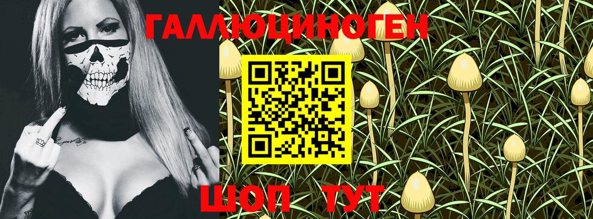 Галлюциногенные грибы Psilocybe Касимов